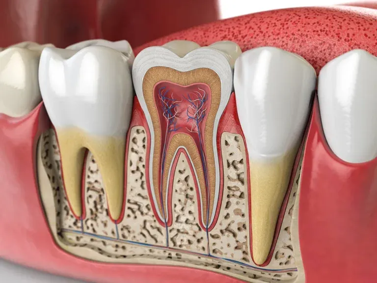Clinical photo supporting root canal and restorative tooth care